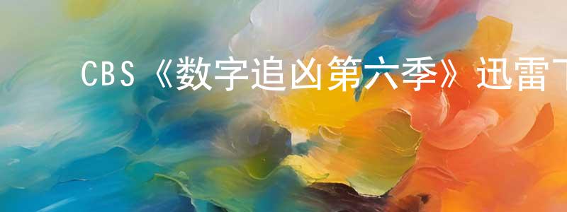 曹晓滨发布CBS《数字追凶第六季》迅雷下载/在线观看/百度云-犯罪/历史载-美剧天堂
